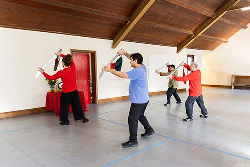 T'ai Chi - Saber Group